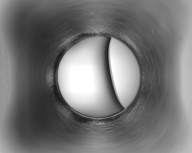 X0000098180640200804241031