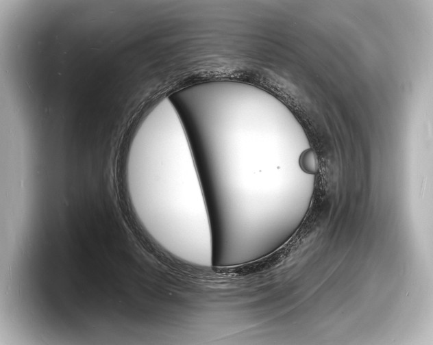 X0000098180642200804241031