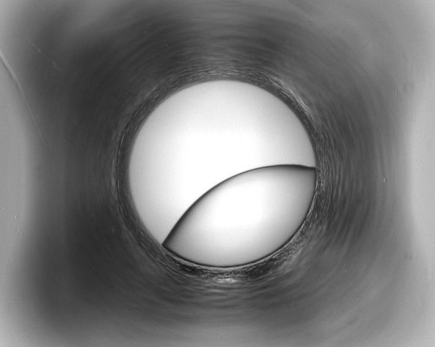 X0000098180643200804241031