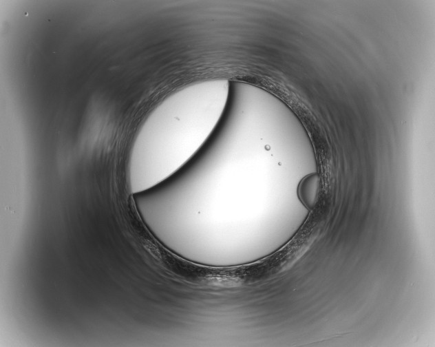 X0000098180644200804241031
