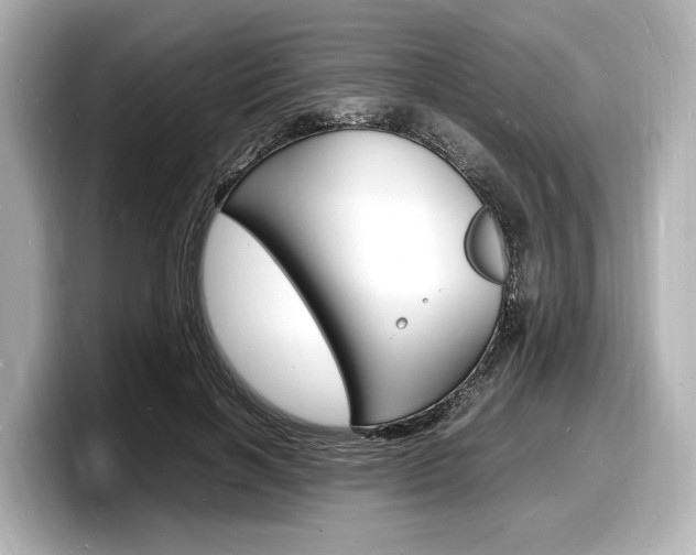 X0000098180646200804241031