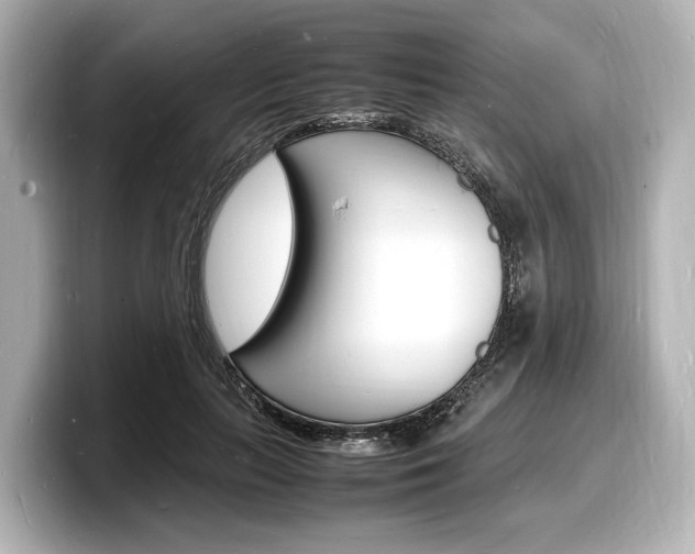 X0000098180647200804241031