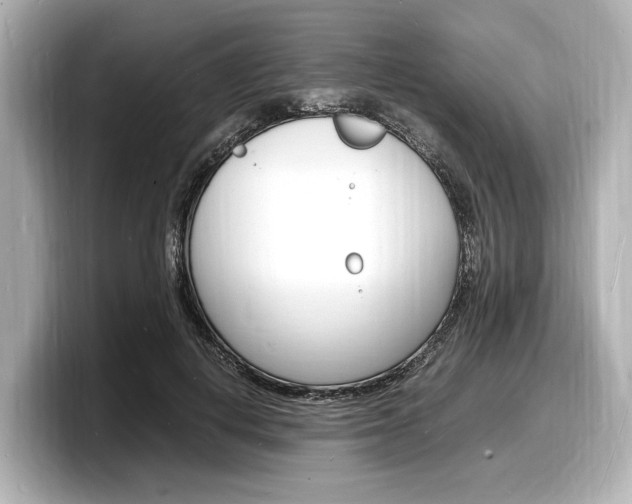 X0000098180648200804241031