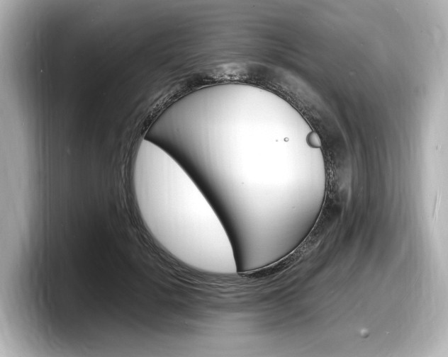 X0000098180652200804241031