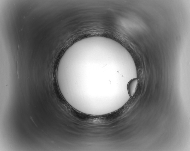 X0000098180655200804241031
