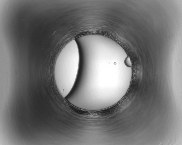 X0000098180656200804241031
