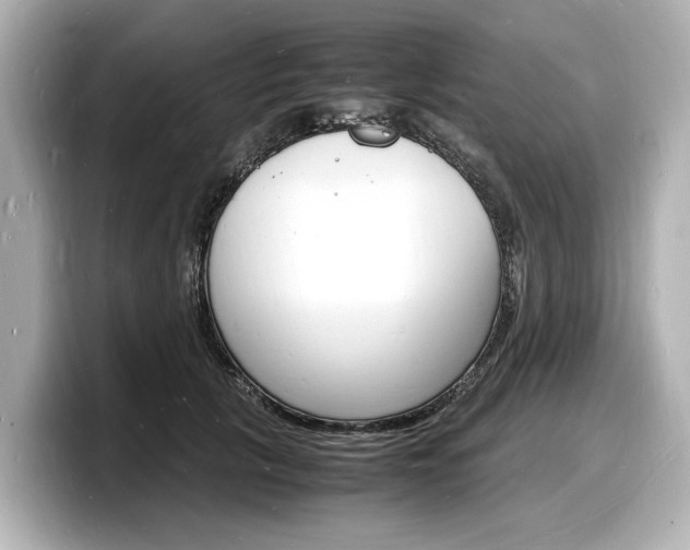 X0000098180657200804241031