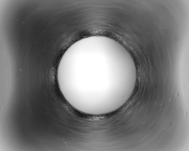 X0000098180664200804241031