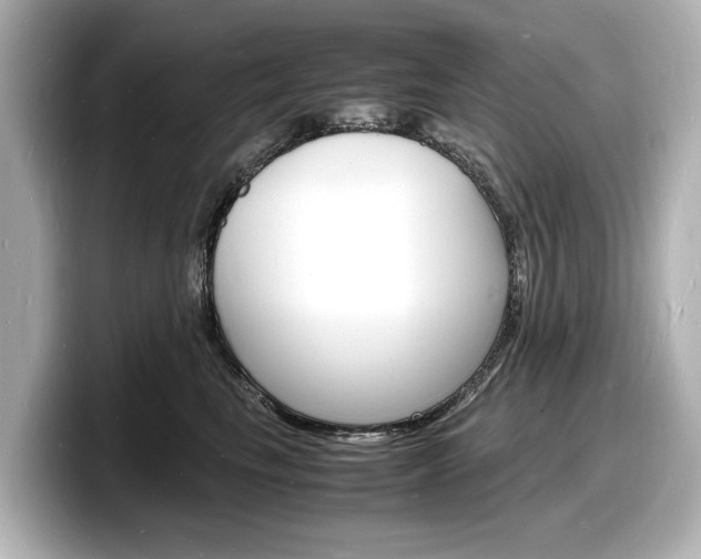 X0000098180665200804241031
