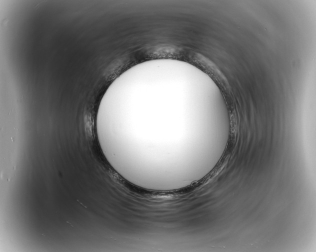 X0000098180669200804241031