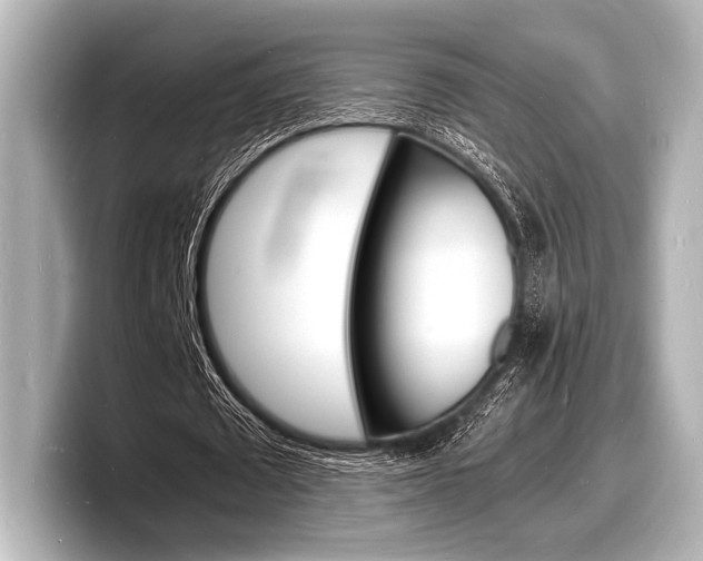 X0000098180673200804241031