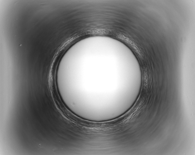 X0000098180674200804241031