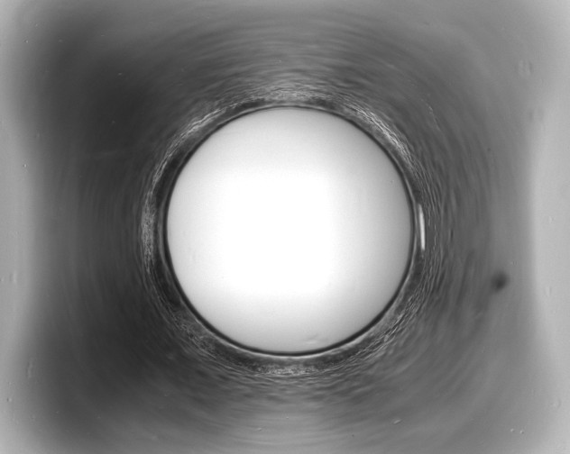 X0000098180675200804241031