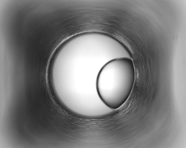 X0000098180676200804241031