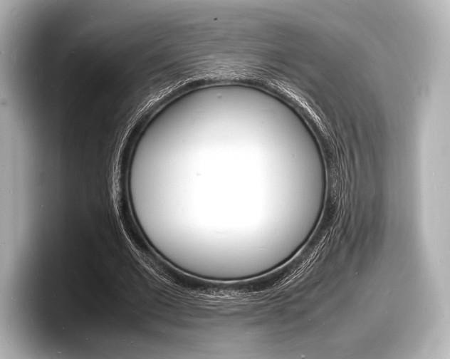 X0000098180677200804241031