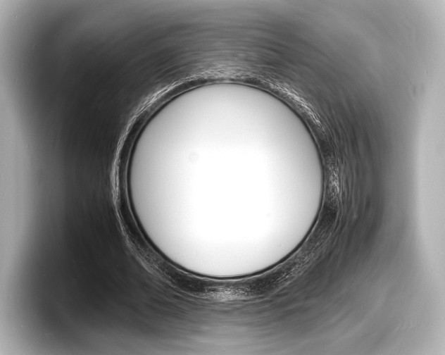 X0000098180678200804241031