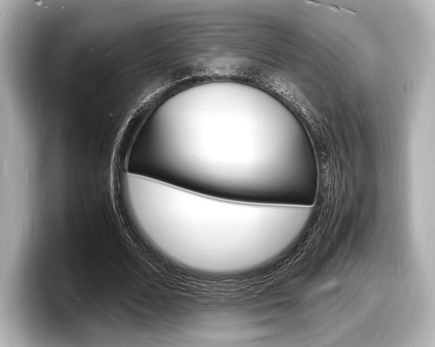 X0000098180680200804241031