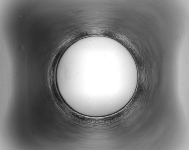 X0000098180683200804241031