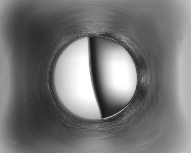 X0000098180685200804241031