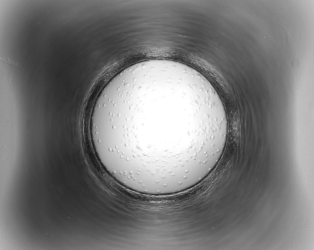 X0000098180686200804241031