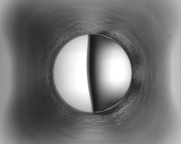 X0000098180689200804241031