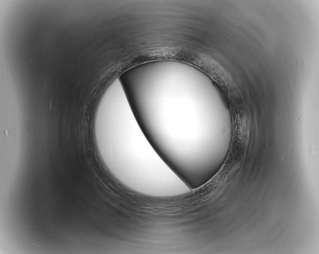 X0000098180692200804241030