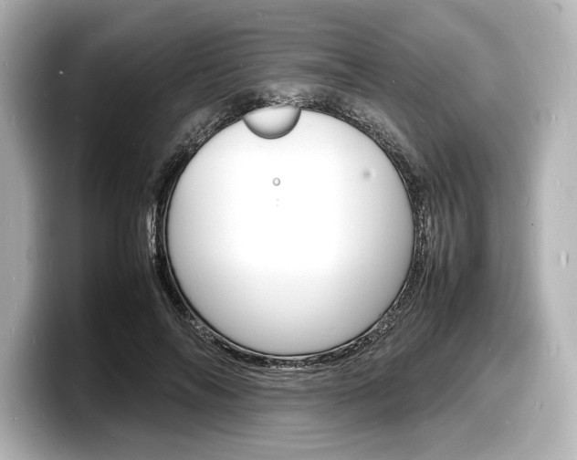 X0000098180694200804241030