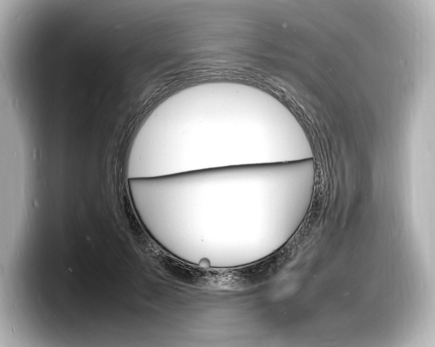 X0000098180695200804241030