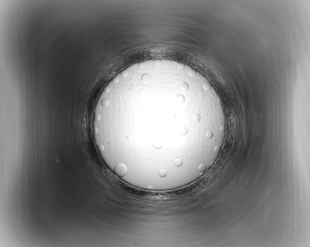 X0000098180698200804241030