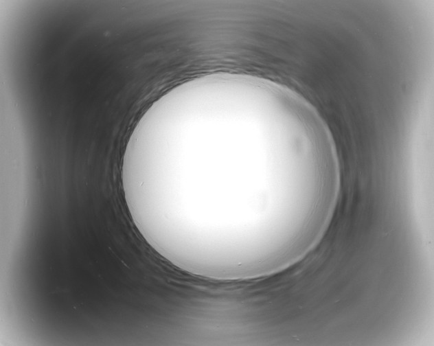 X0000098180705200804241030