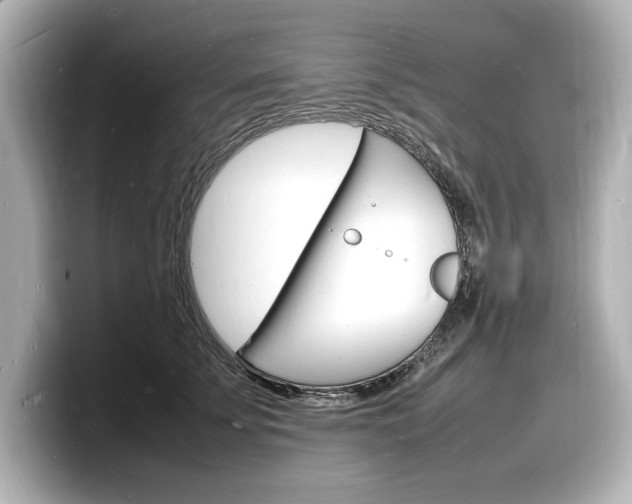 X0000098180707200804241030