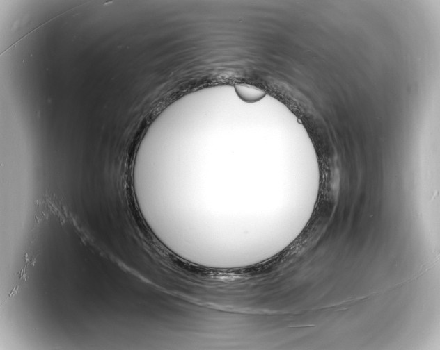 X0000098180710200804241030