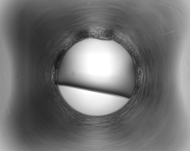 X0000098180712200804241030