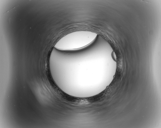 X0000098180715200804241030