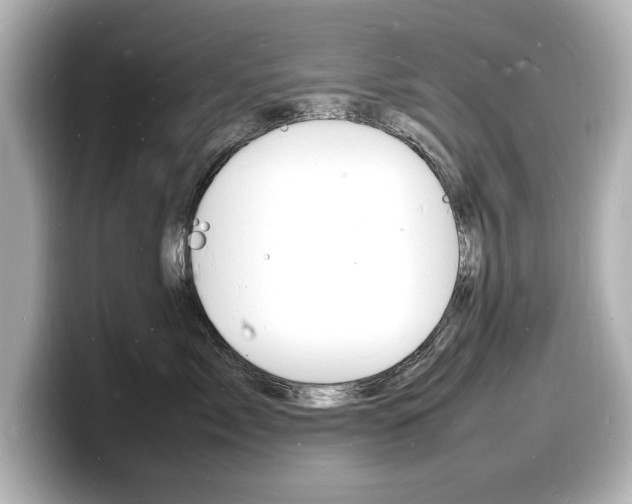 X0000098180717200804241030