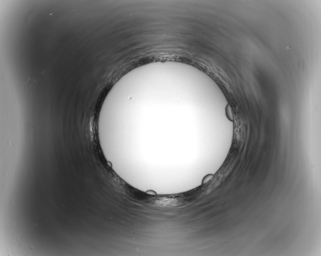 X0000098180718200804241030