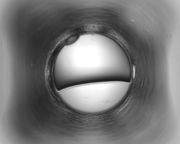 X0000098180723200804241029