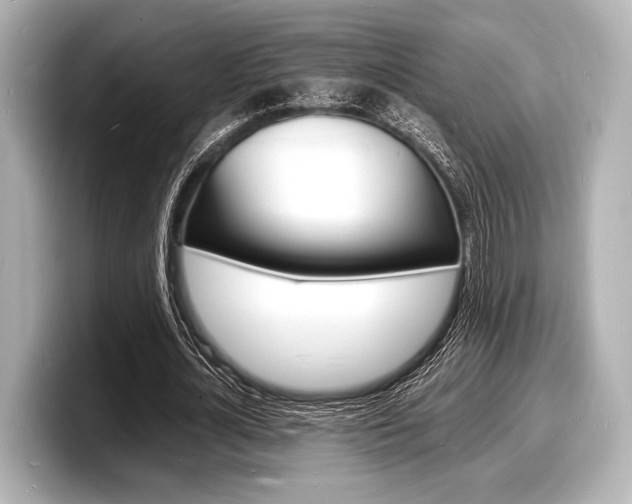 X0000098180724200804241029