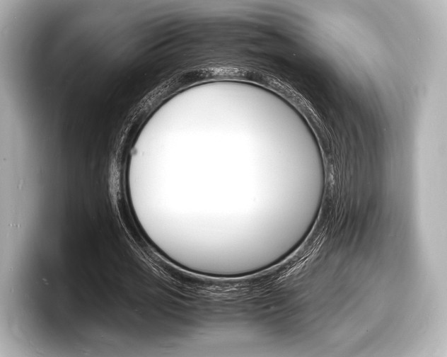 X0000098180725200804241030