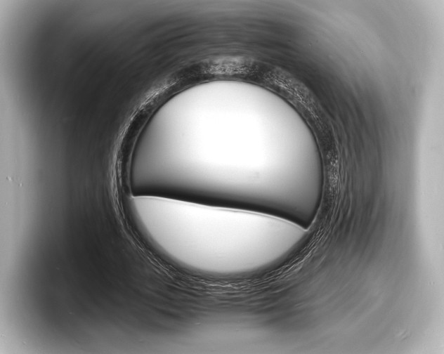 X0000098180727200804241030