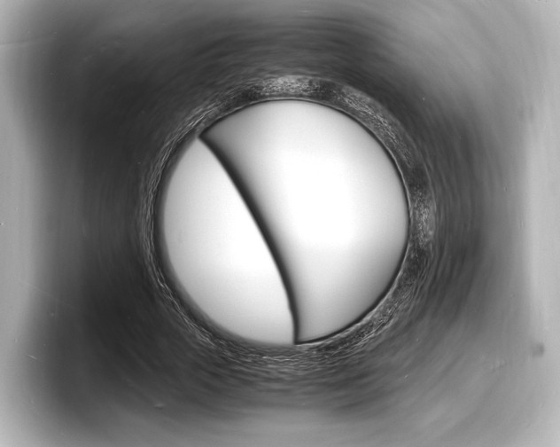 X0000098180729200804241030