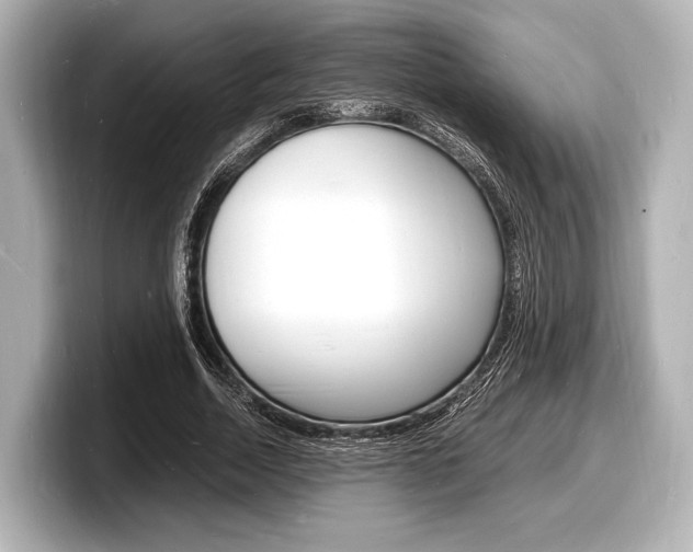 X0000098180730200804241030