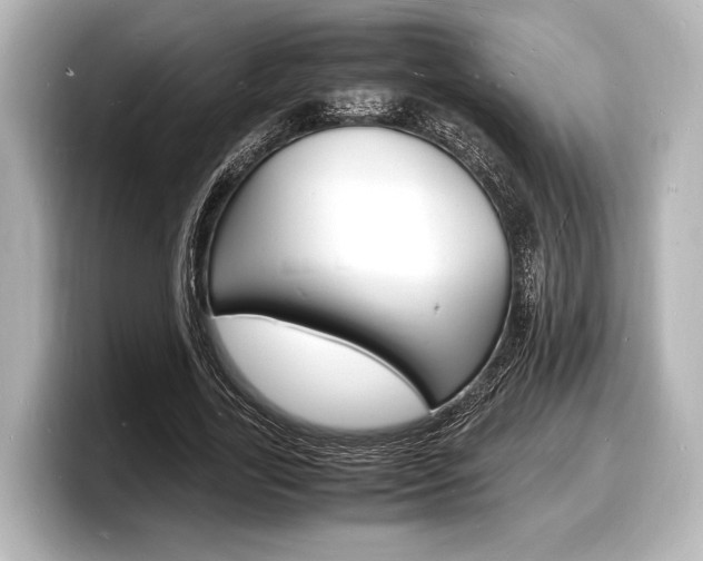 X0000098180731200804241030