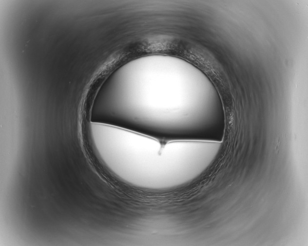 X0000098180732200804241030