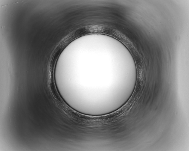 X0000098180733200804241030