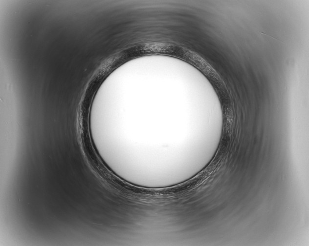 X0000098180734200804241030