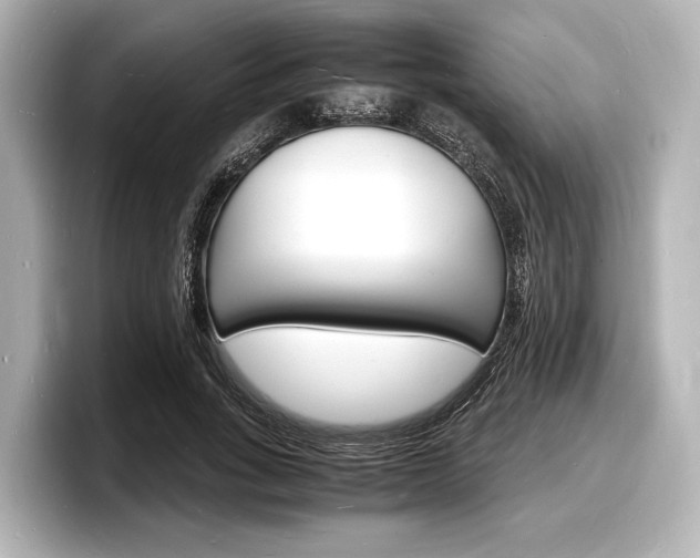 X0000098180735200804241030