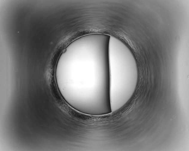 X0000098180736200804241030