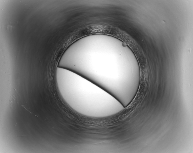 X0000098180737200804241030