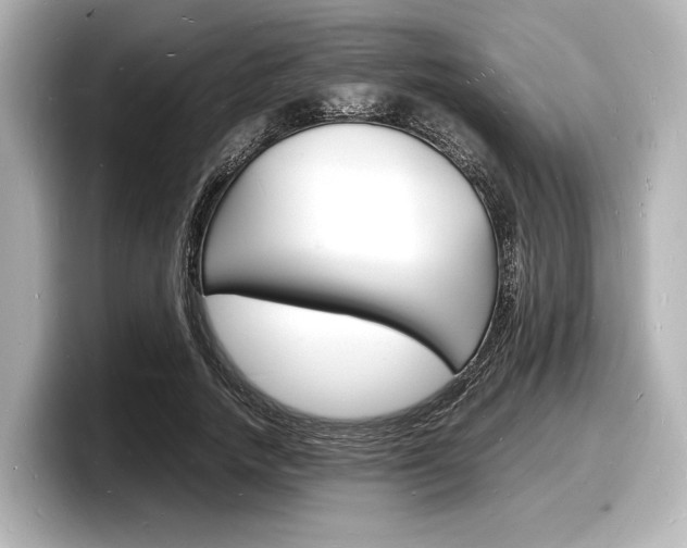 X0000098180738200804241030